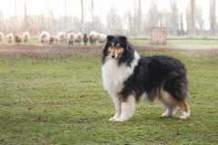 IMG-20250317-WA0018