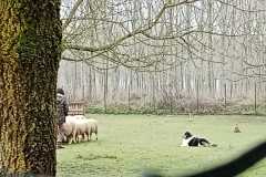 IMG-20250317-WA0023