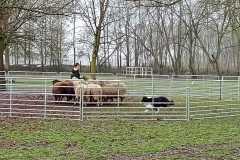 IMG-20250317-WA0025