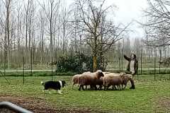 IMG-20250317-WA0026