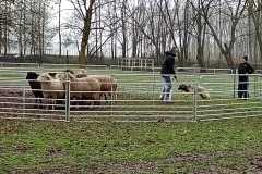 IMG-20250317-WA0028