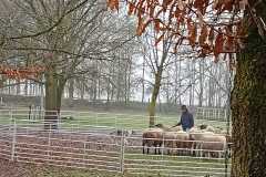 IMG-20250317-WA0029