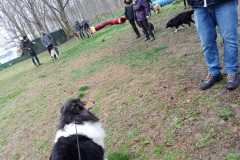 IMG-20250317-WA0031
